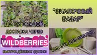 "Фиалочный базар".