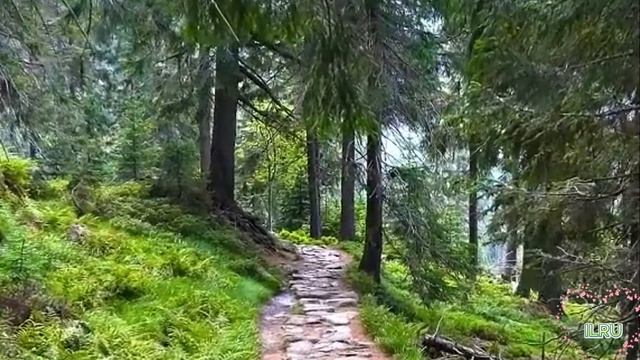 Рассказы истории из жизни слушать онлайн. Командировка с последствиями...