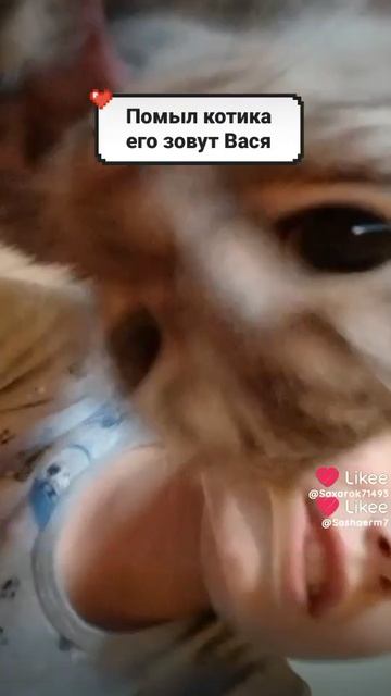 Like_7538434953174178844