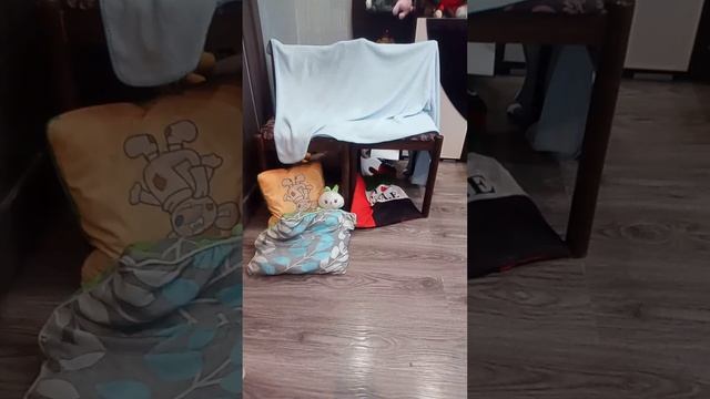 большое кино : куда пропал мэр