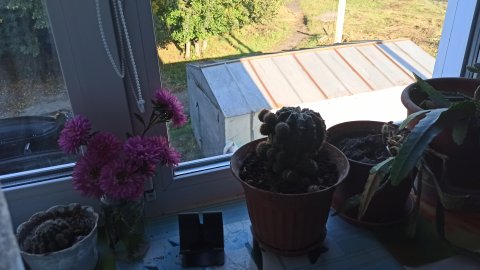 утро в деревне