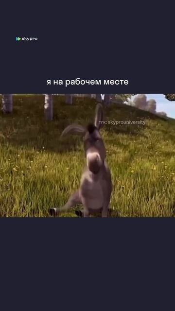 Точно 🤝🏼