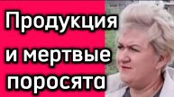 Продукция и мёртвые поросята.