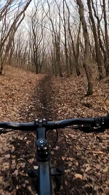 где то в лесу