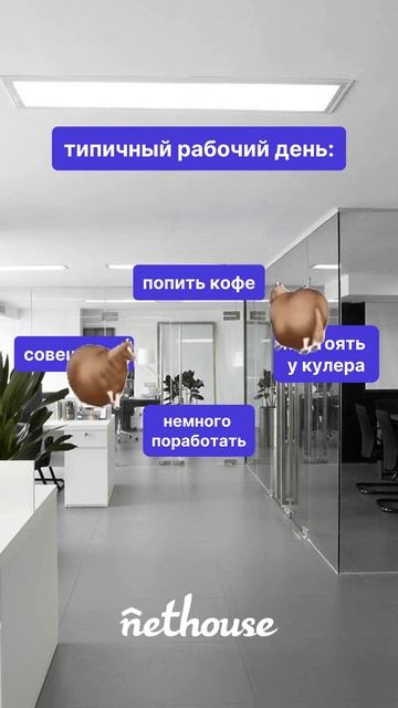Типичный рабочий день
