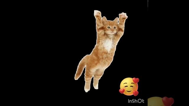 не опоздала с трендом?