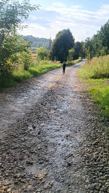 Прощай лето