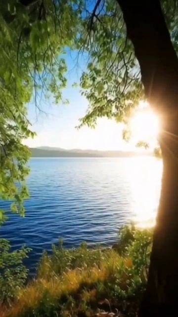 Вот и лето прошло 
Утро в лесу 
Мелодия любви 
Александра Пахмутова 
#утро  #Мелодиялюбви 
#Александ