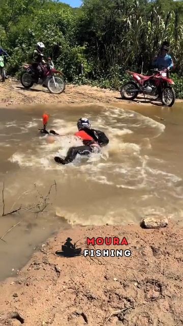 мото движение