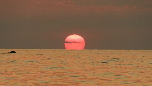 Гребля на сапе на фоне заката в Сочи