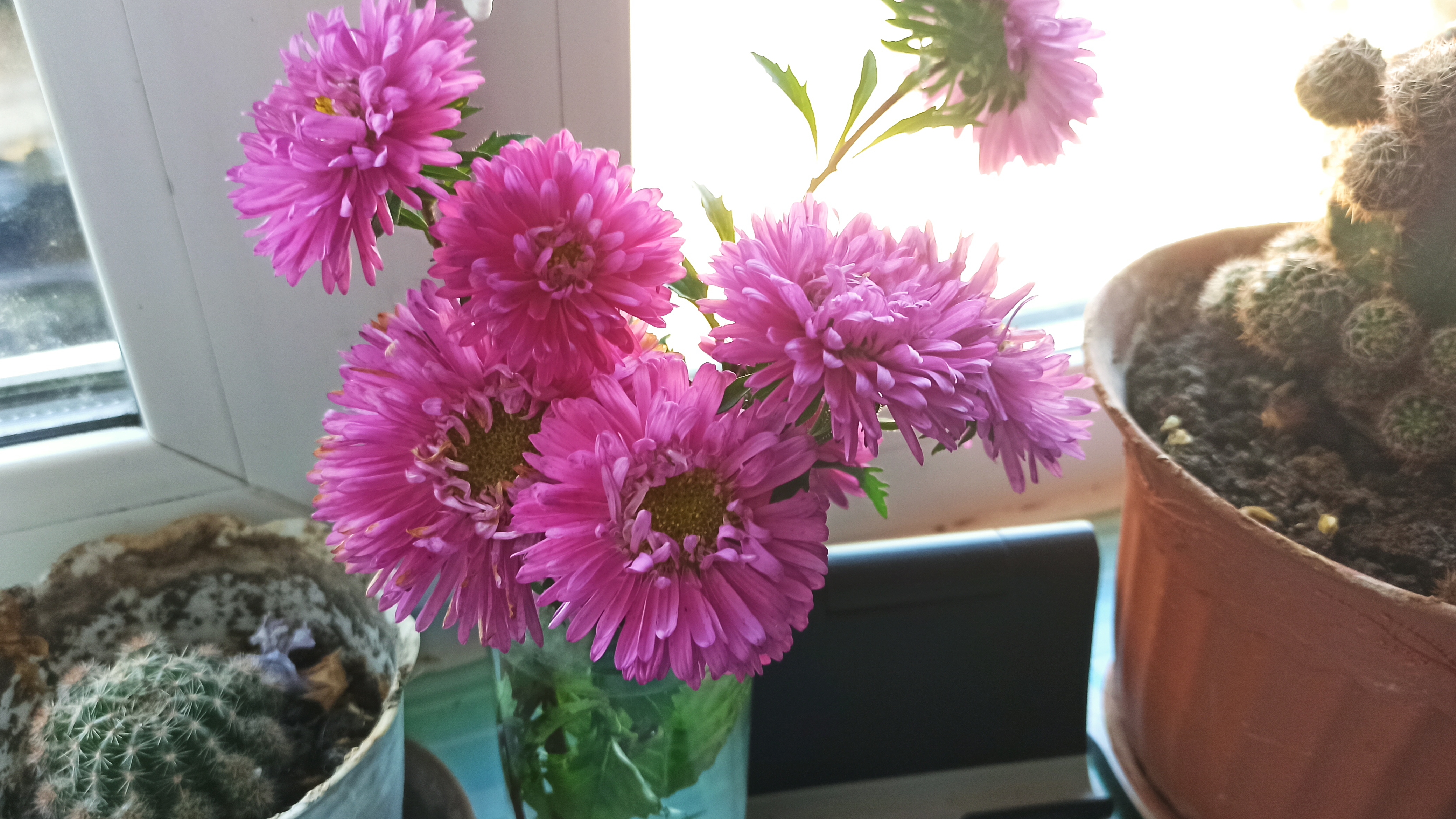 утро четверга в селе