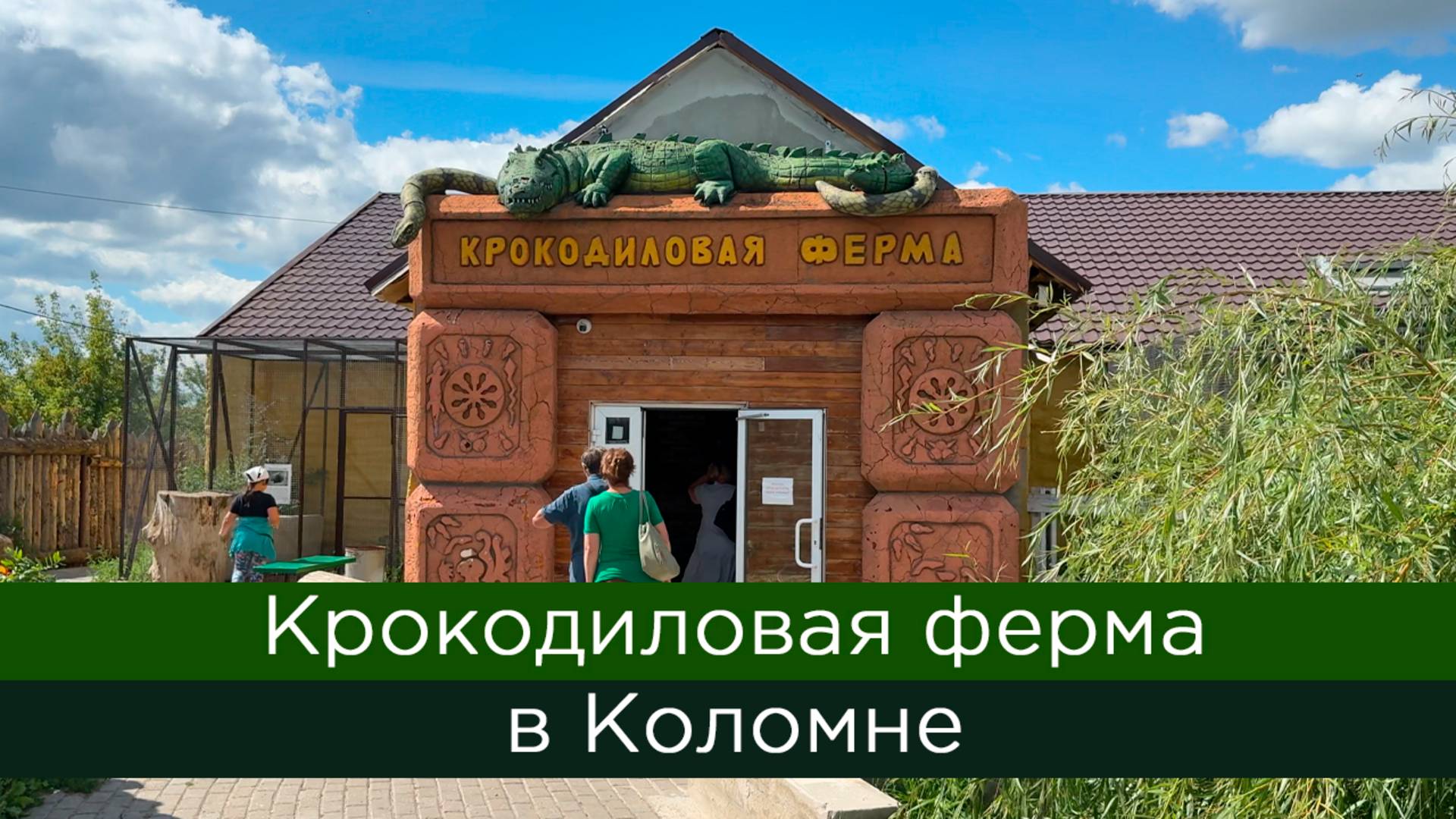 Крокодиловая ферма в Коломне