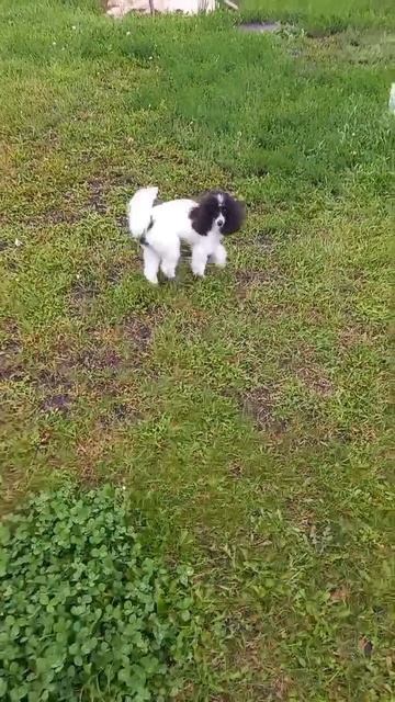 с самолёта и сразу на дачу