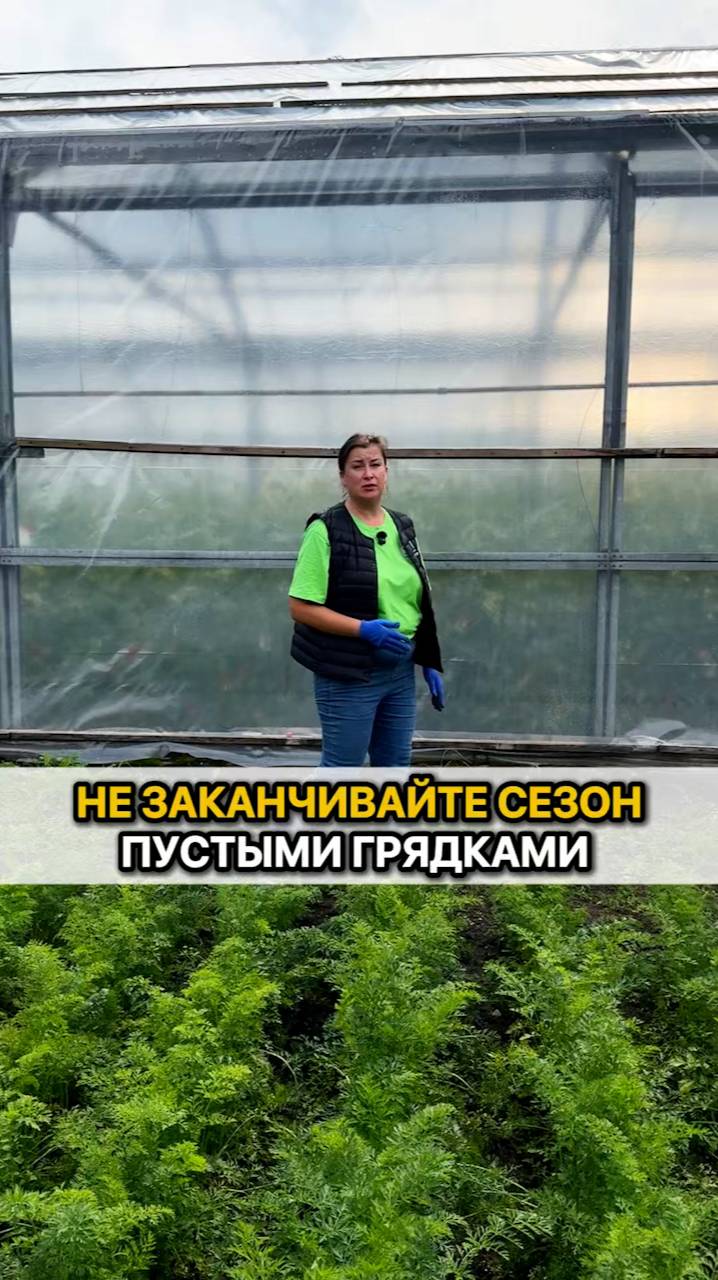 Не заканчивайте сезон пустыми грядками!
