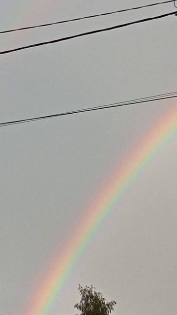 ЖИЗНЬ ПРЕКРАСНА 🥰