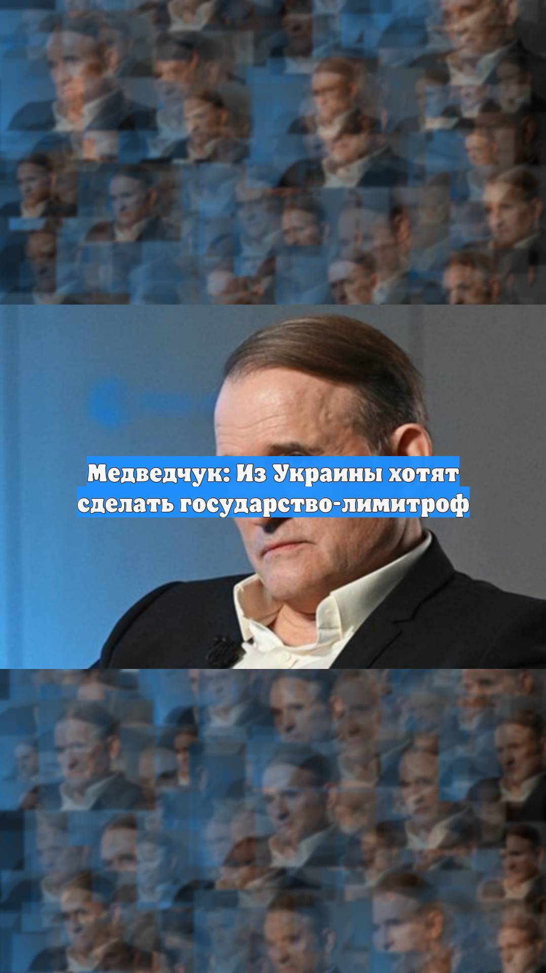 Медведчук: Из Украины хотят сделать государство-лимитроф