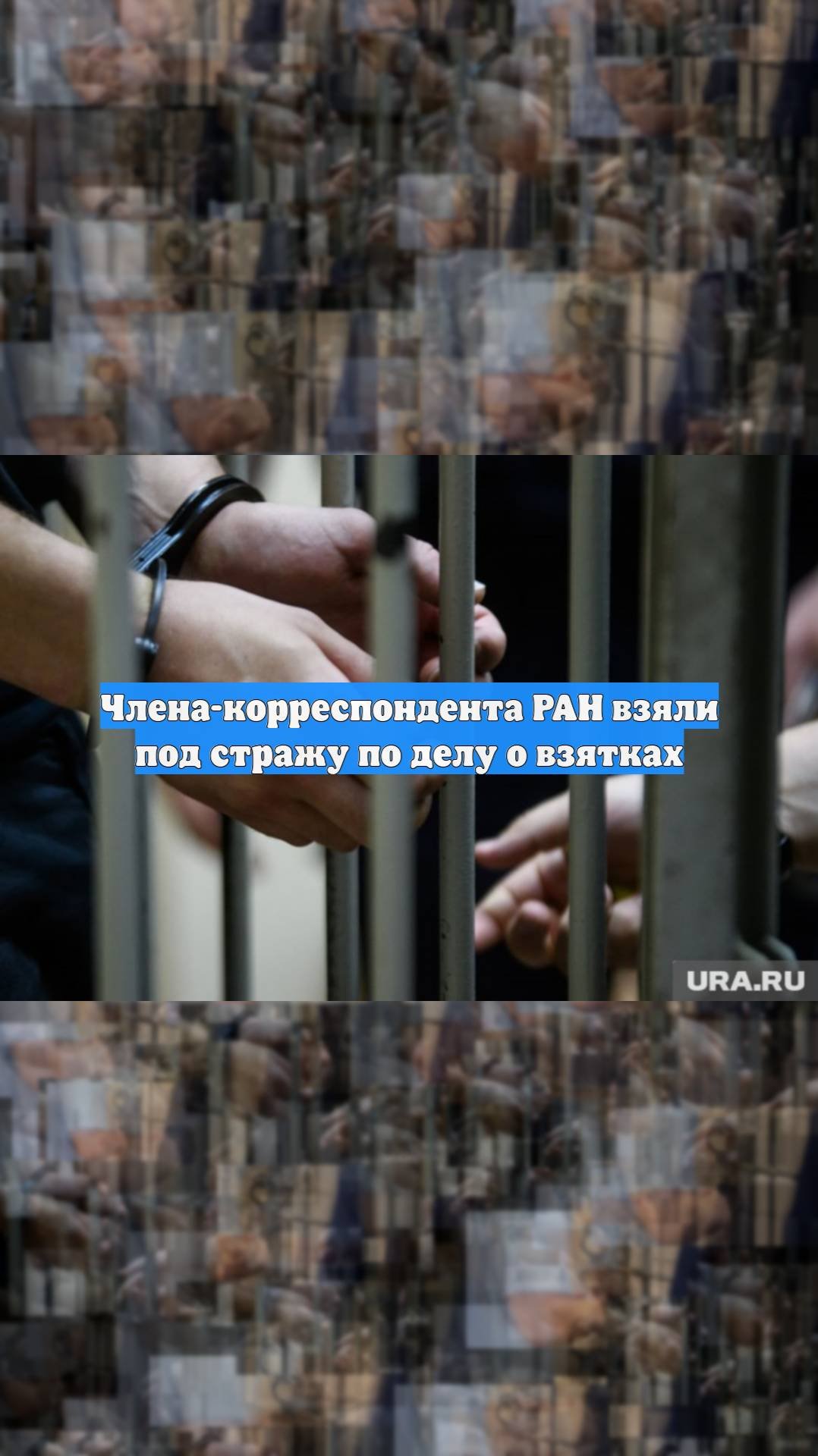 Члена-корреспондента РАН взяли под стражу по делу о взятках
