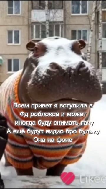 Булька булька барабулька булька булька барабулька