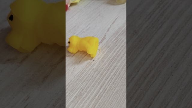 охотники и сокровища