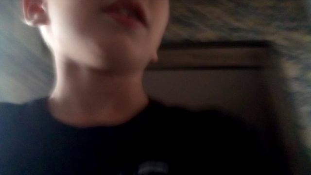 InShot_20250829_150008026.mp4