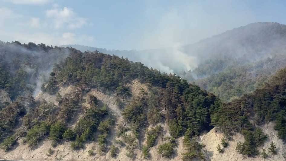 Площадь пожара в Геленджике превысила 40 гектаров