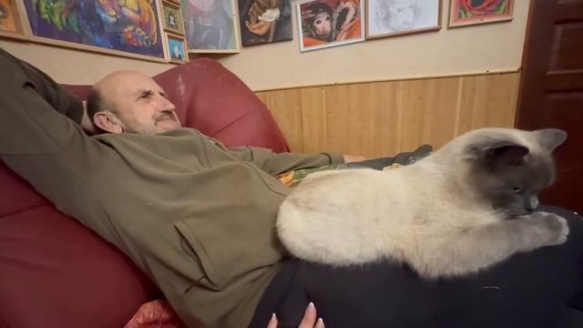 Вы думаете что у вас дома шумно Покормите с нами голодных медведеи в КАКАДУРКЕ