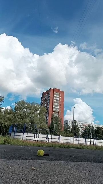 кража века
