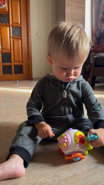 Бизишарик (артикул 338584299)