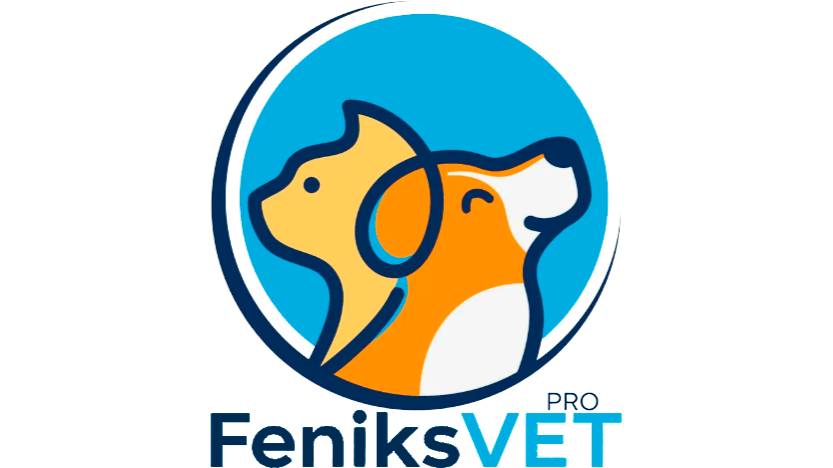 FeniksVET PRO. Амбулатория