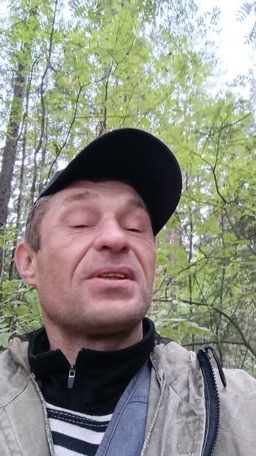 природа лес грибы 🍄🟫🍄🟫🍄🟫