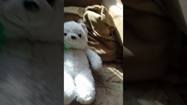 Помогите Валере. СРОЧНО!!!!!!!!!