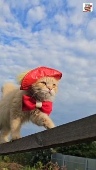 Солнышко 🌞😻💓😽🌟