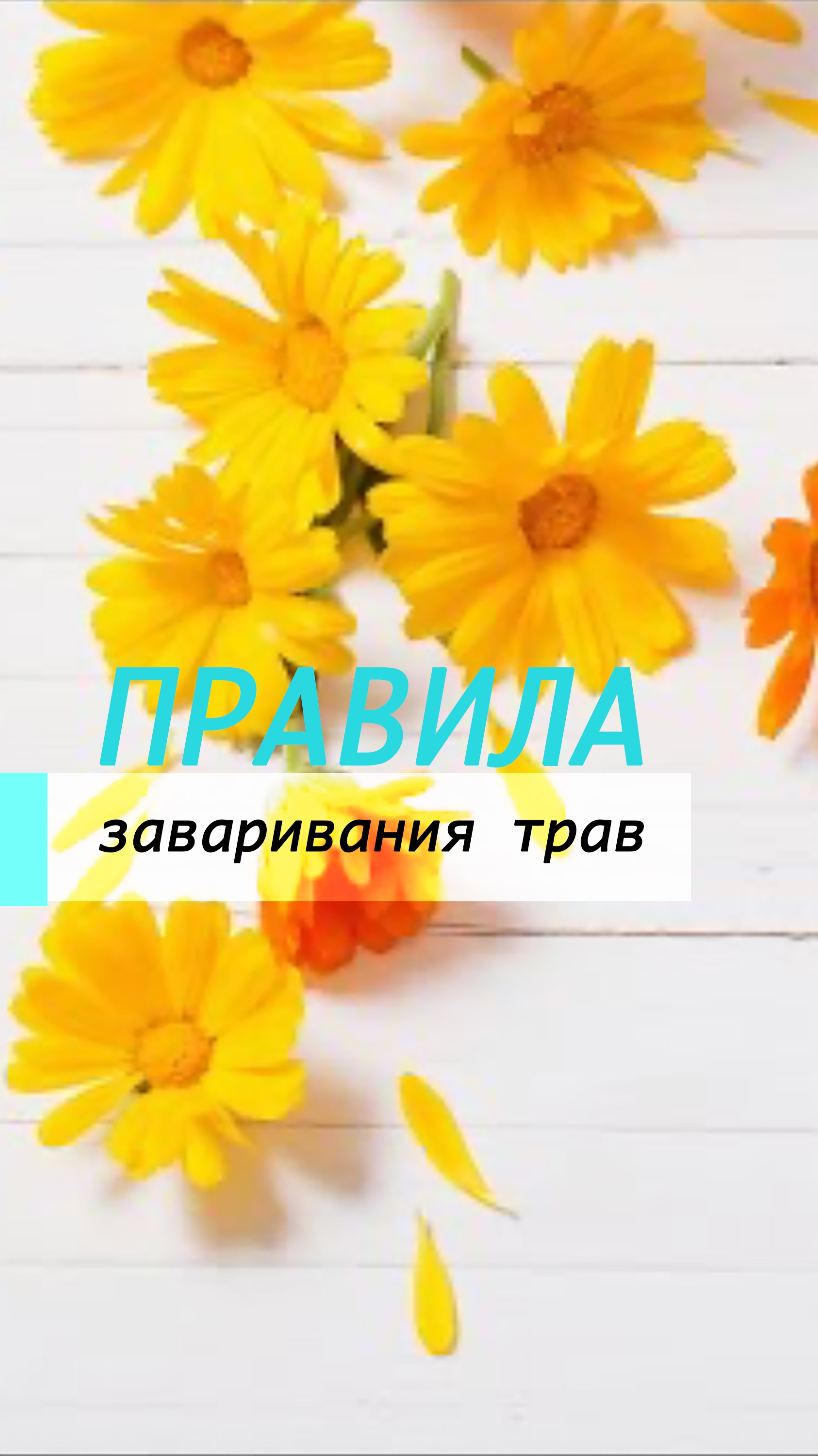 Правила заваривания трав
