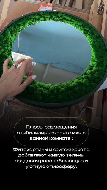 Фитозеркало со стабилизированным мхом