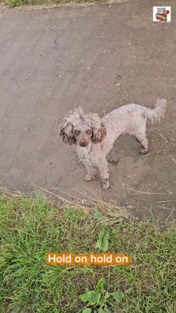 За Иисуса держись 😇🌞🌈💓🙏😻🐶 Hold on to Jesus