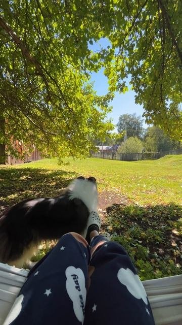 Какая потрясающая погода в последние летние денечки!🍁😍