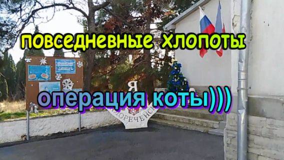 № 921 повседневные хлопоты // операция коты)))
