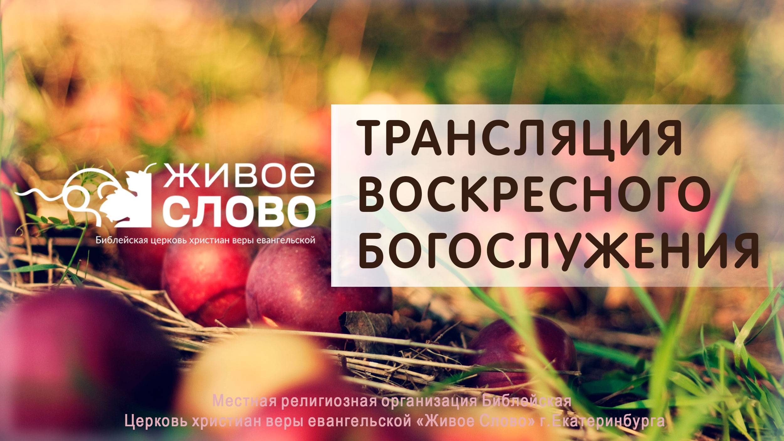 31 августа 2025 в 11:00 (ЕКБ) / Воскресное #Богослужение / Церковь «Живое Слово»