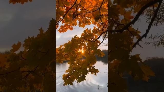 1000226412.mp4