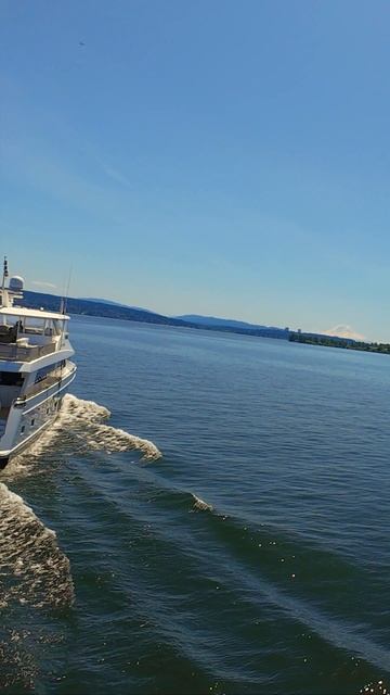 ✨ DJI Avata заснял красивую лодку, идущую по озеру Вашингтон. Идеальный вечерний свет, спокойная во