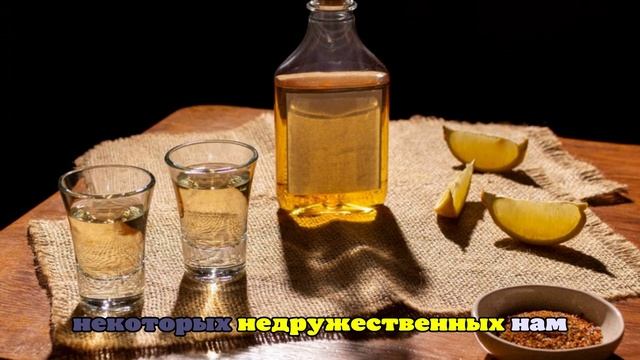 Самарский губернатор ответил на вопрос «в „Телеграме“ пишут, что бухаете»