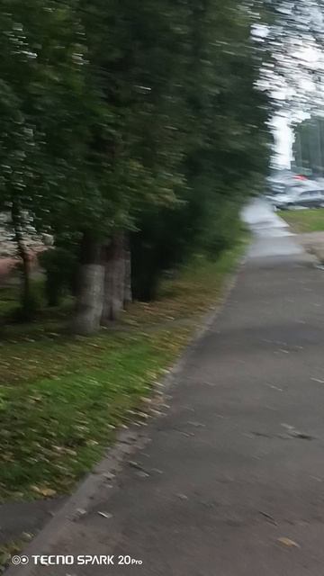 VID_20250829_073345