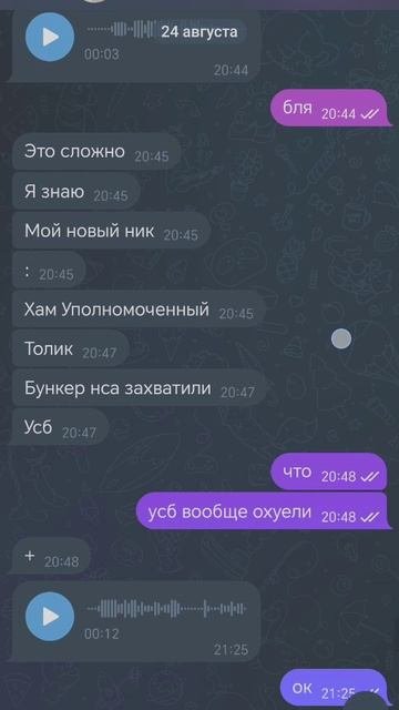 Video_3