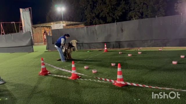 Жасмин Янкор Кримеа, квалификационные соревнования РАНВ по ноузворк в Краснодаре 23 августа 2025 г.