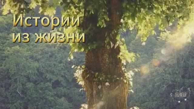 Аудио рассказы бесплатно истории из жизни - От конфликта  к гармонии...