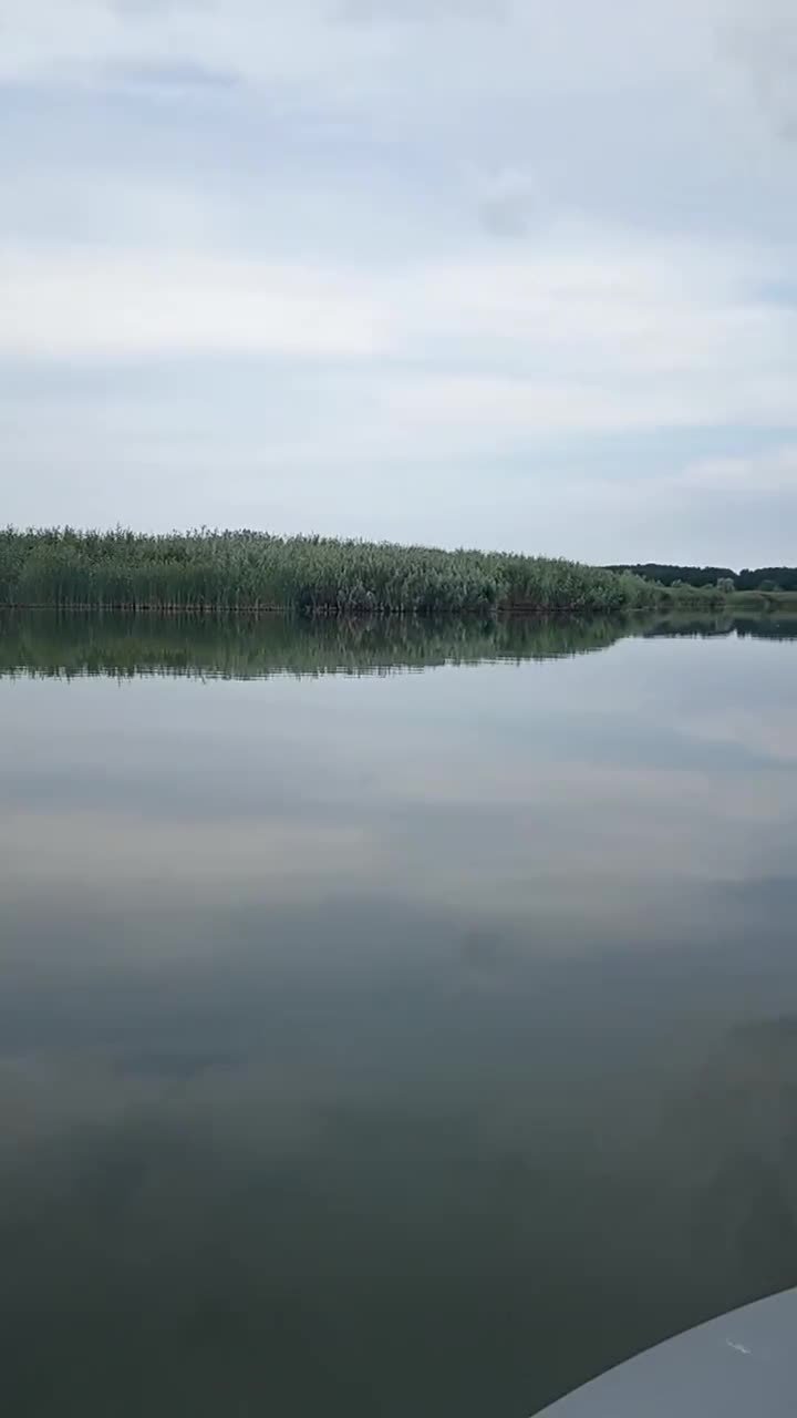 Приветствую, друзья. Могу сказать одно: [https://www.ozon.ru/product/podsak-dlya-rybalki-razmer-h...