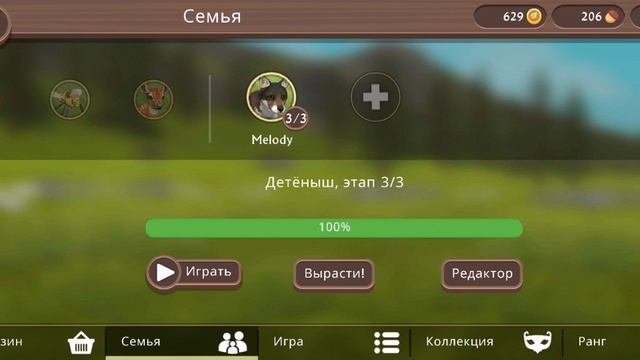 День рождение твикси