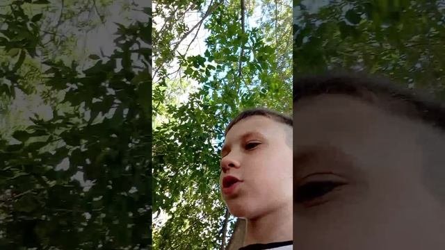 гуляем с Артёмам