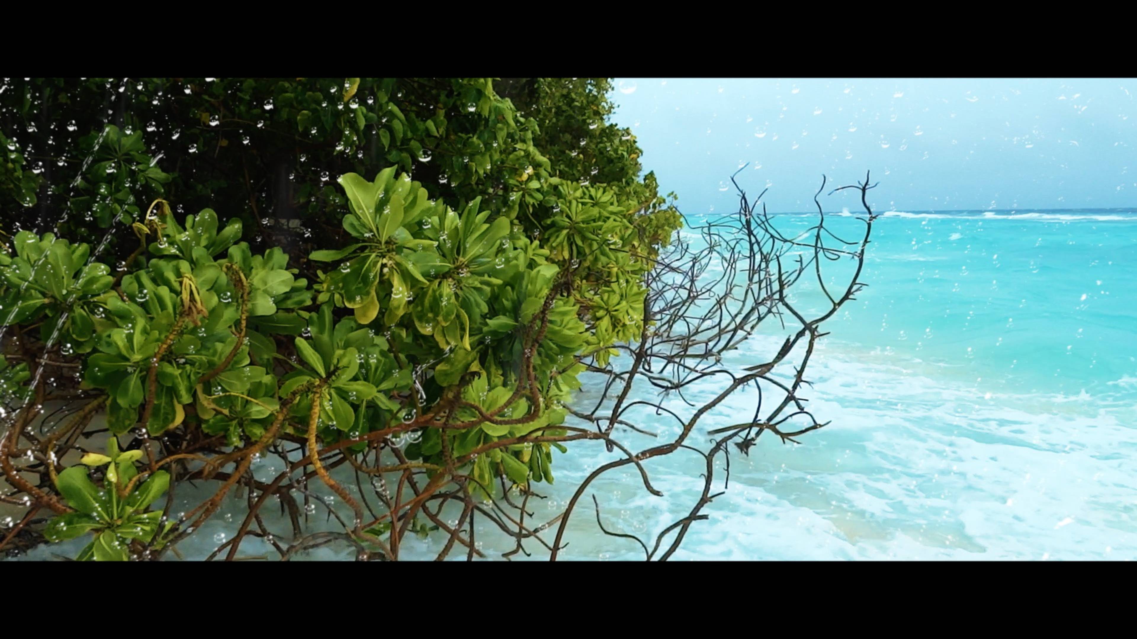 Остров Horubadhoo, Baa Atoll, Maldives