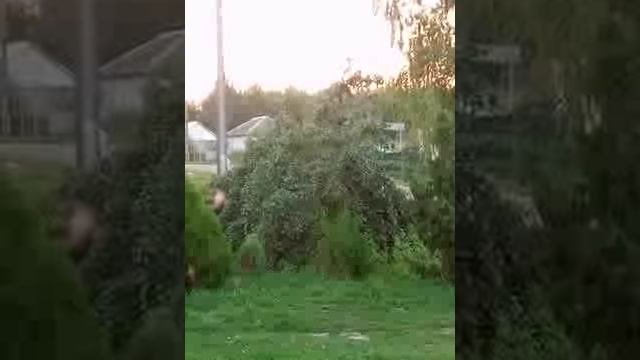 Люди - это вся травля за день белыйзелёныйсинийкрасный.